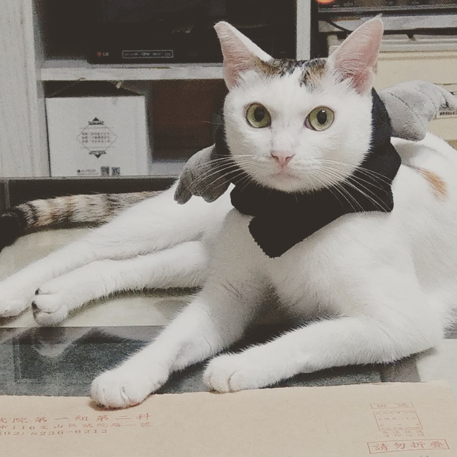 陳威