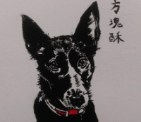 張伃廷