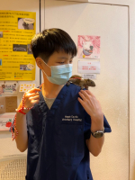 Dr. Chang