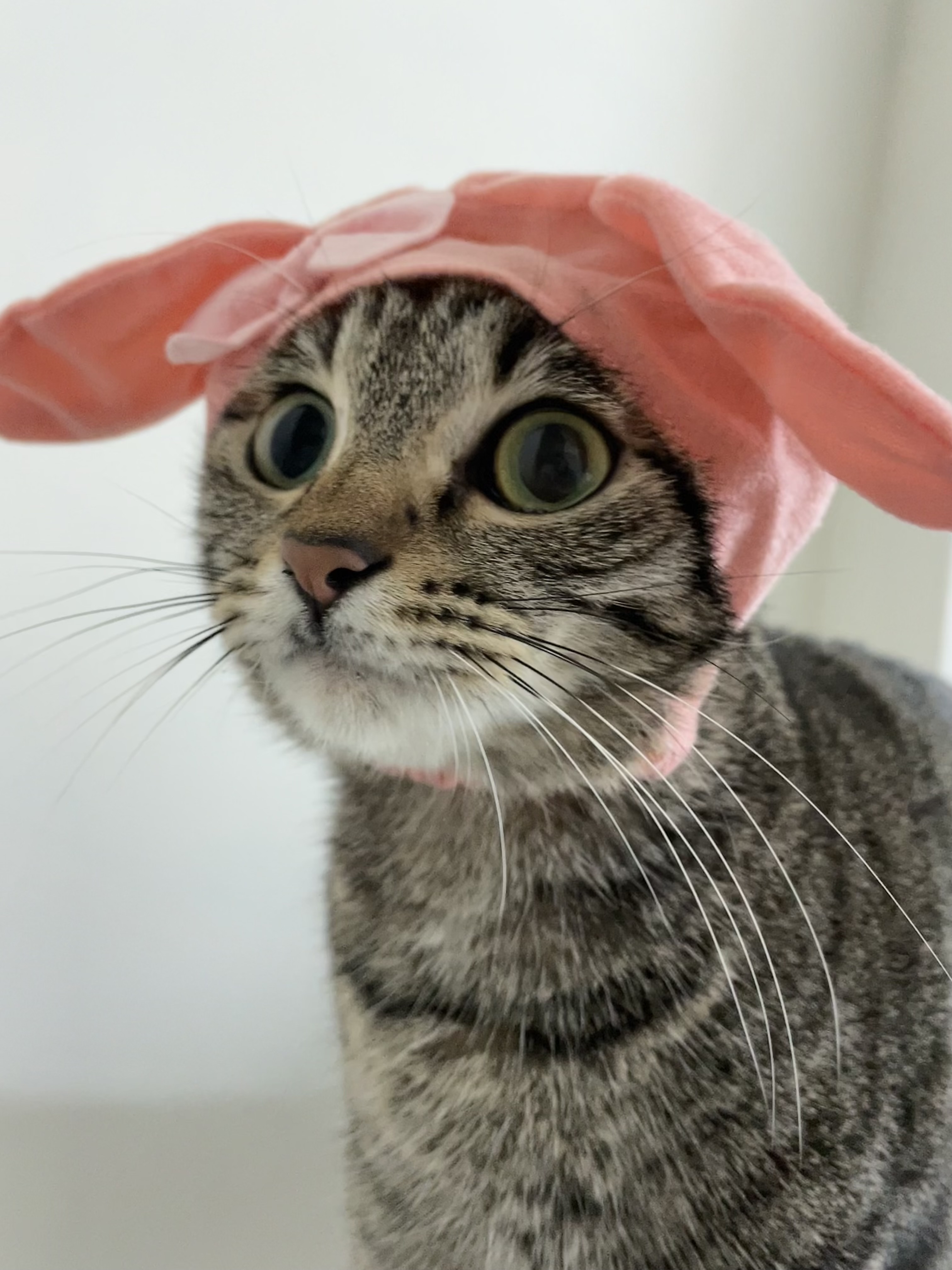 梁錦亭