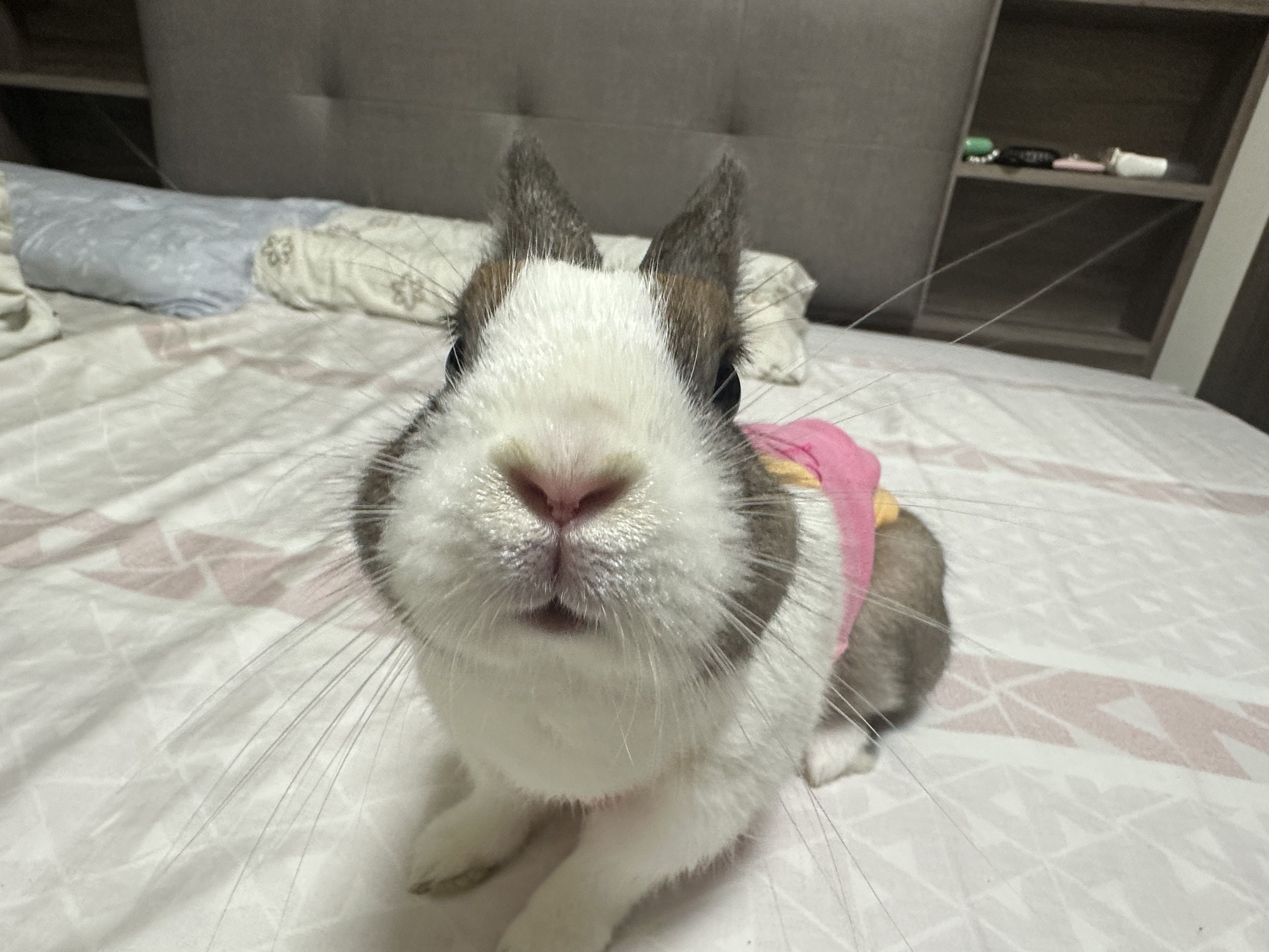 歐穎欣
